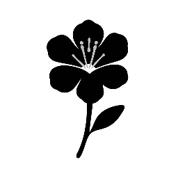 Bloom & Be